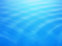 �S�������R�[�`���O